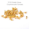 12.9 Grade Gold Hexa Countersunk Screws M3*10mm - 5pcs